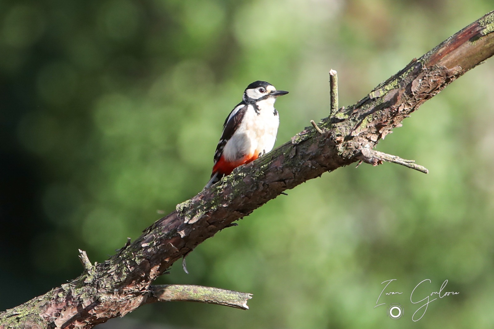 12 juni 2022 184825 1DX47305